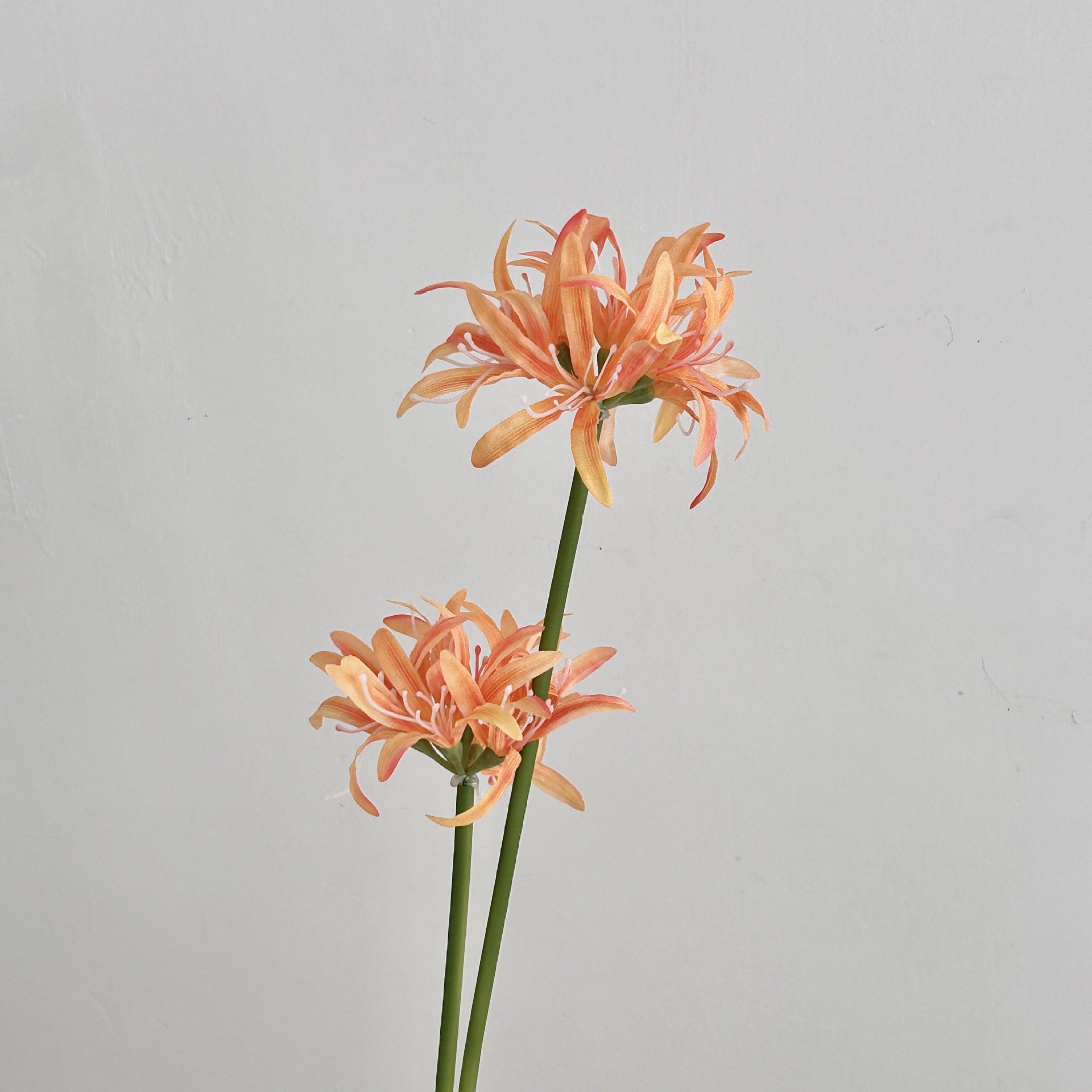 2 Heads of  Begonia Artificial Flowers Manzhushahua Fake Flowers