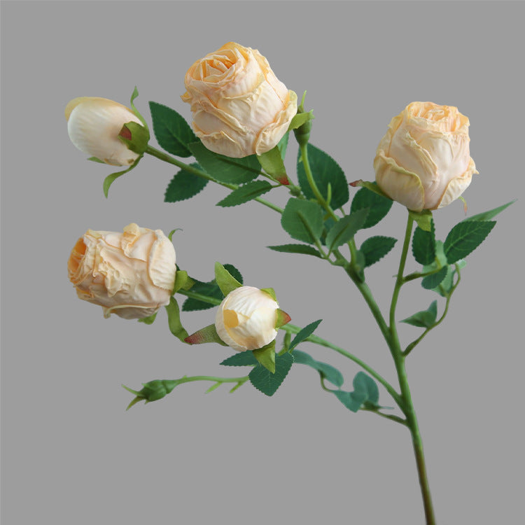 Five-Headed Burnt Edge Rose Vintage Artificial Flower Silk Flower Imitation Dried Flower