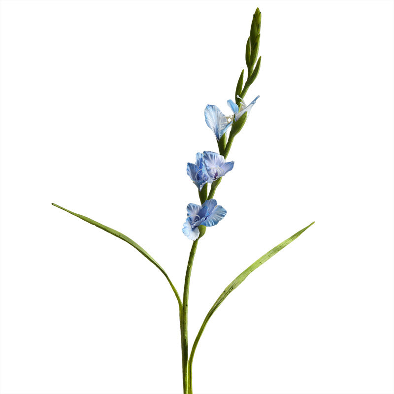Single Branch Gladiolus 12pcs - 33.9in