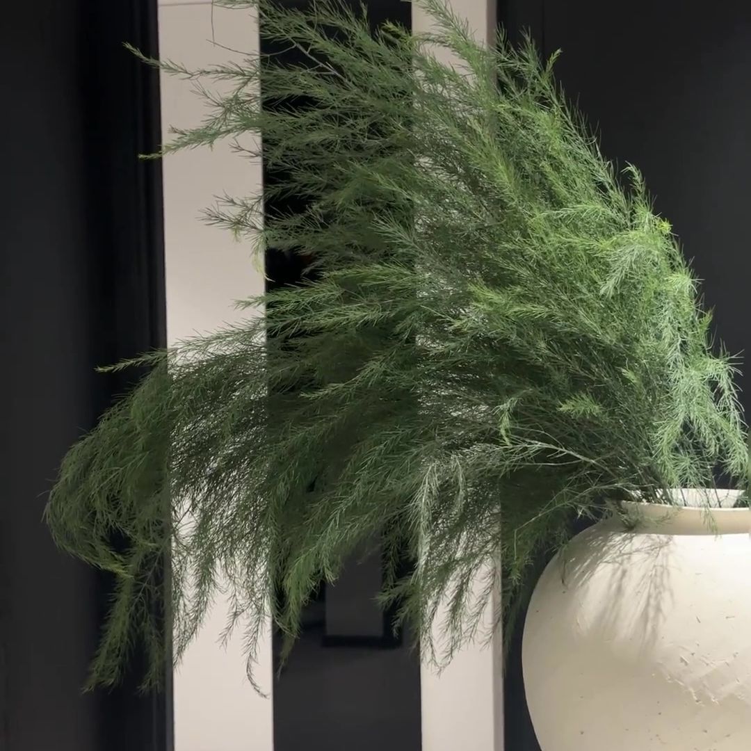 Forest Style Artificial Flowers Artificial Green Plants Alisma Dragon Beard Grass
