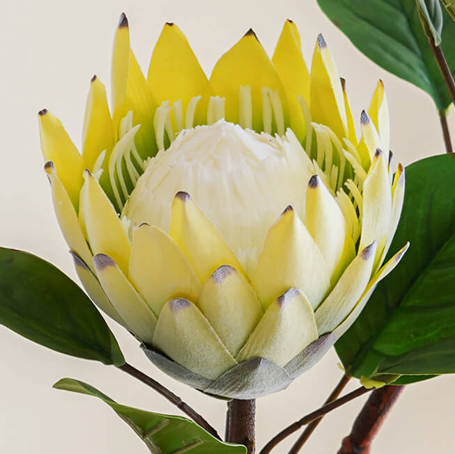 Large High-End Imitation Imperial Flower 1 pcs - 24.4"