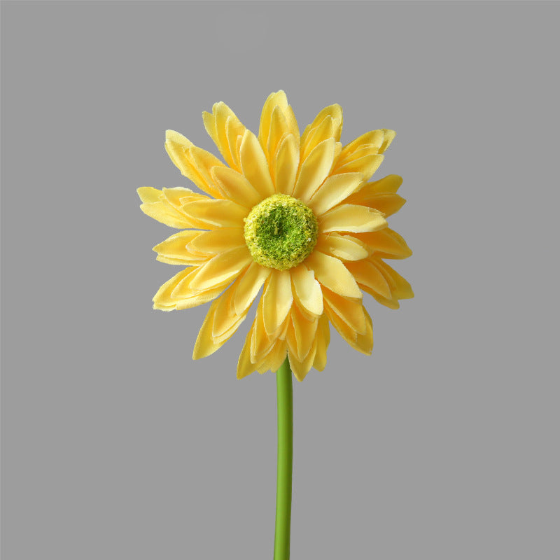 Single Branch Gerbera 12pcs - 16.5in