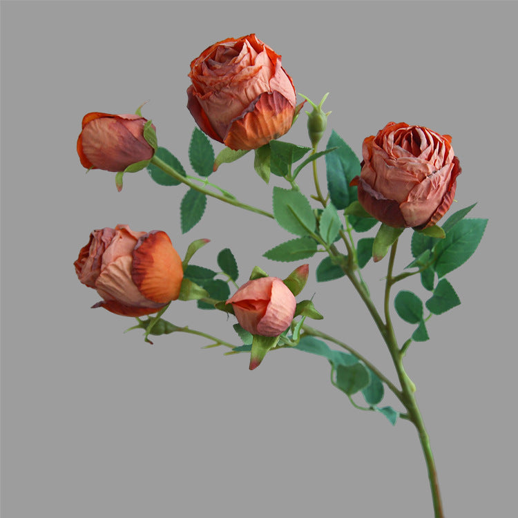 Five-Headed Burnt Edge Rose Vintage Artificial Flower Silk Flower Imitation Dried Flower