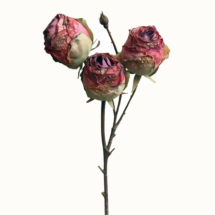 Vintage Three-Headed Dried Rose 12pcs - 17.7in