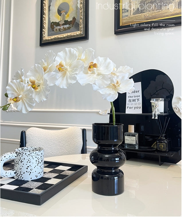 9 European-style Phalaenopsis Orchids