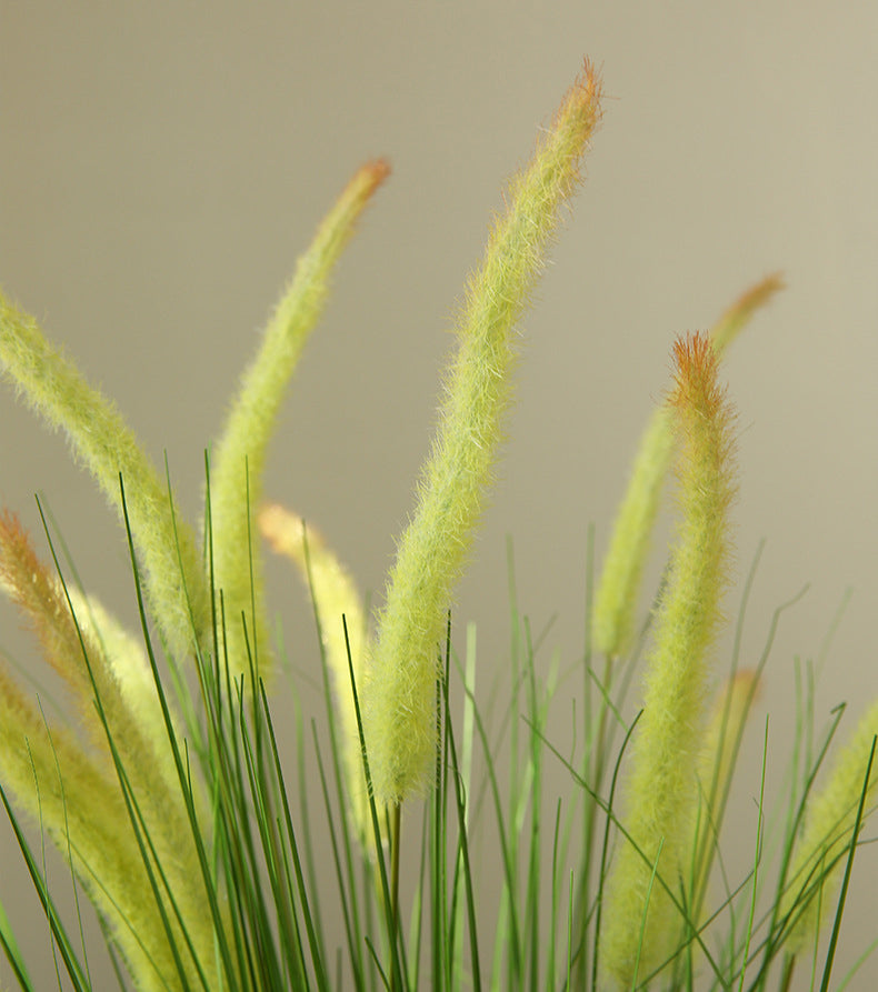 Artificial Flower 5-Headed Dog Tail Grass Bundle Fake Flower Decoration