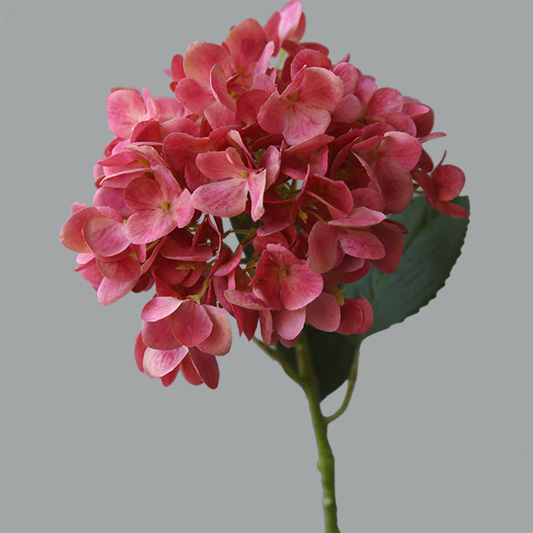 Simulated Snowflake Hydrangea 12pcs - 22.4in