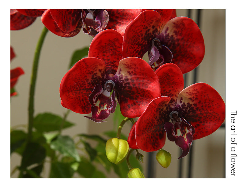 Artificial Flower 9-Head Phalaenopsis  Home Decoration Wedding Scenery Display  3D Printing