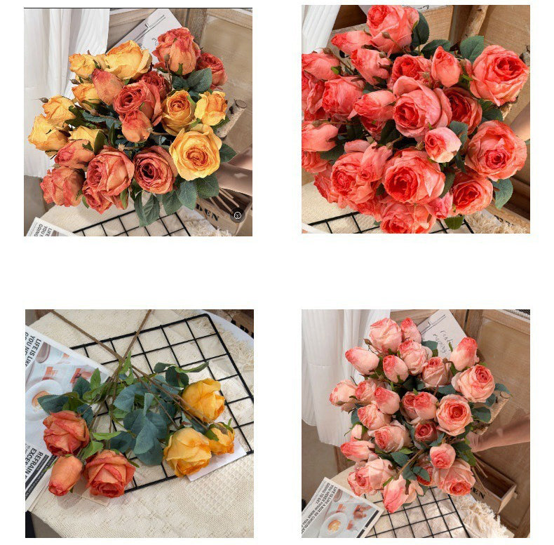 3 Manta Roses