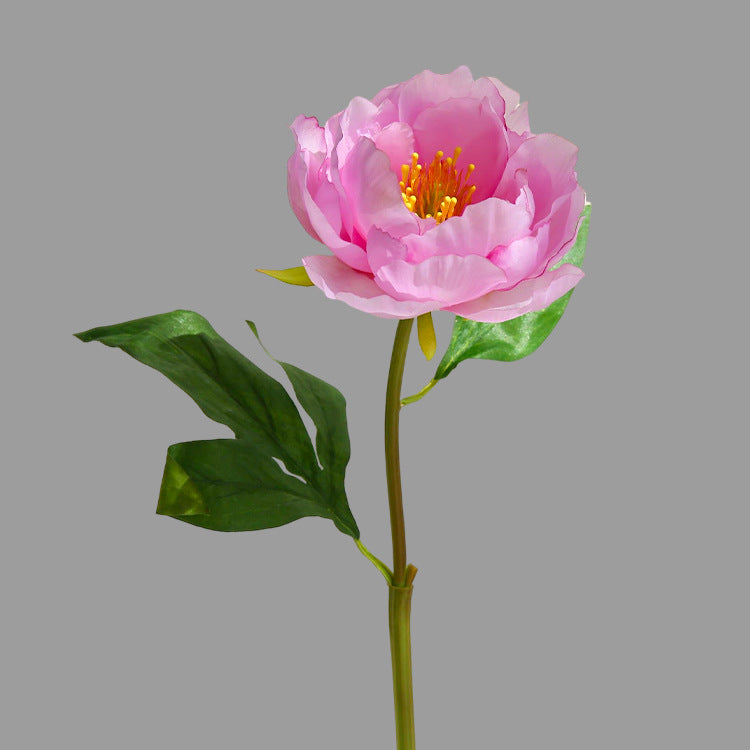 Single Branch Hibiscus Peony  12pcs - 17.7in