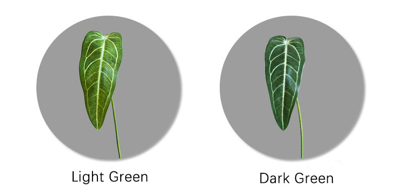 Artificial Green Plant Green Leaf Fire Lily Flower Candle Home Flower Arrangement