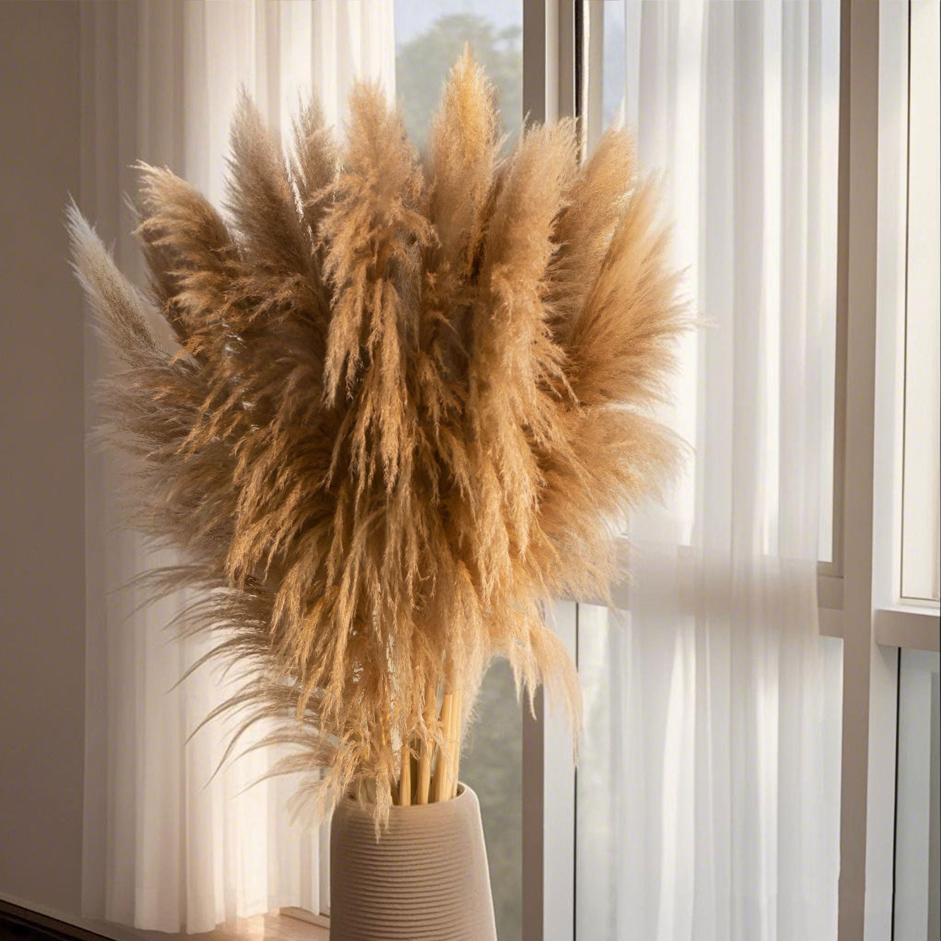 Large Reed Real Flower Dried Flower