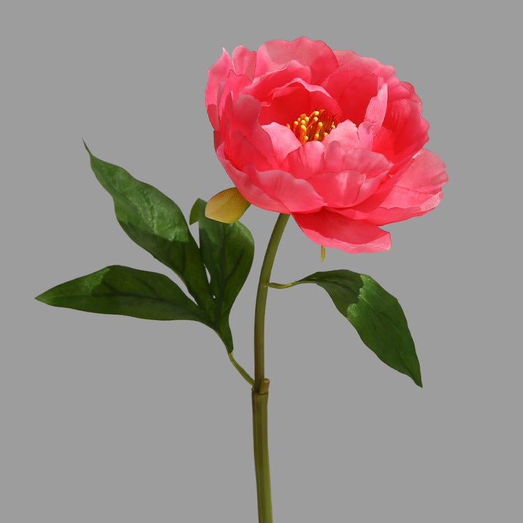 Single Branch Hibiscus Peony  12pcs - 17.7in