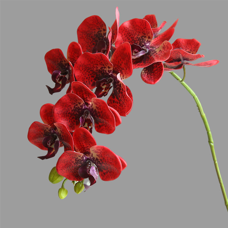 Artificial Flower 9-Head Phalaenopsis  Home Decoration Wedding Scenery Display  3D Printing