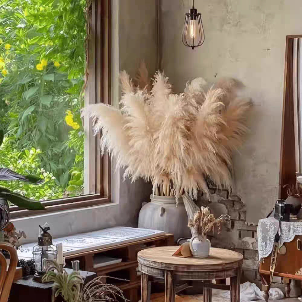 Large Reed Real Flower Dried Flower