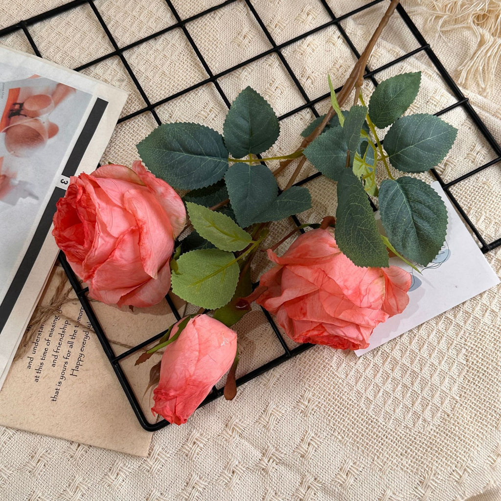 3 Manta Roses