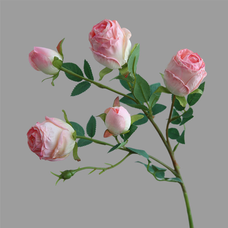 Five-Headed Burnt Edge Rose Vintage Artificial Flower Silk Flower Imitation Dried Flower