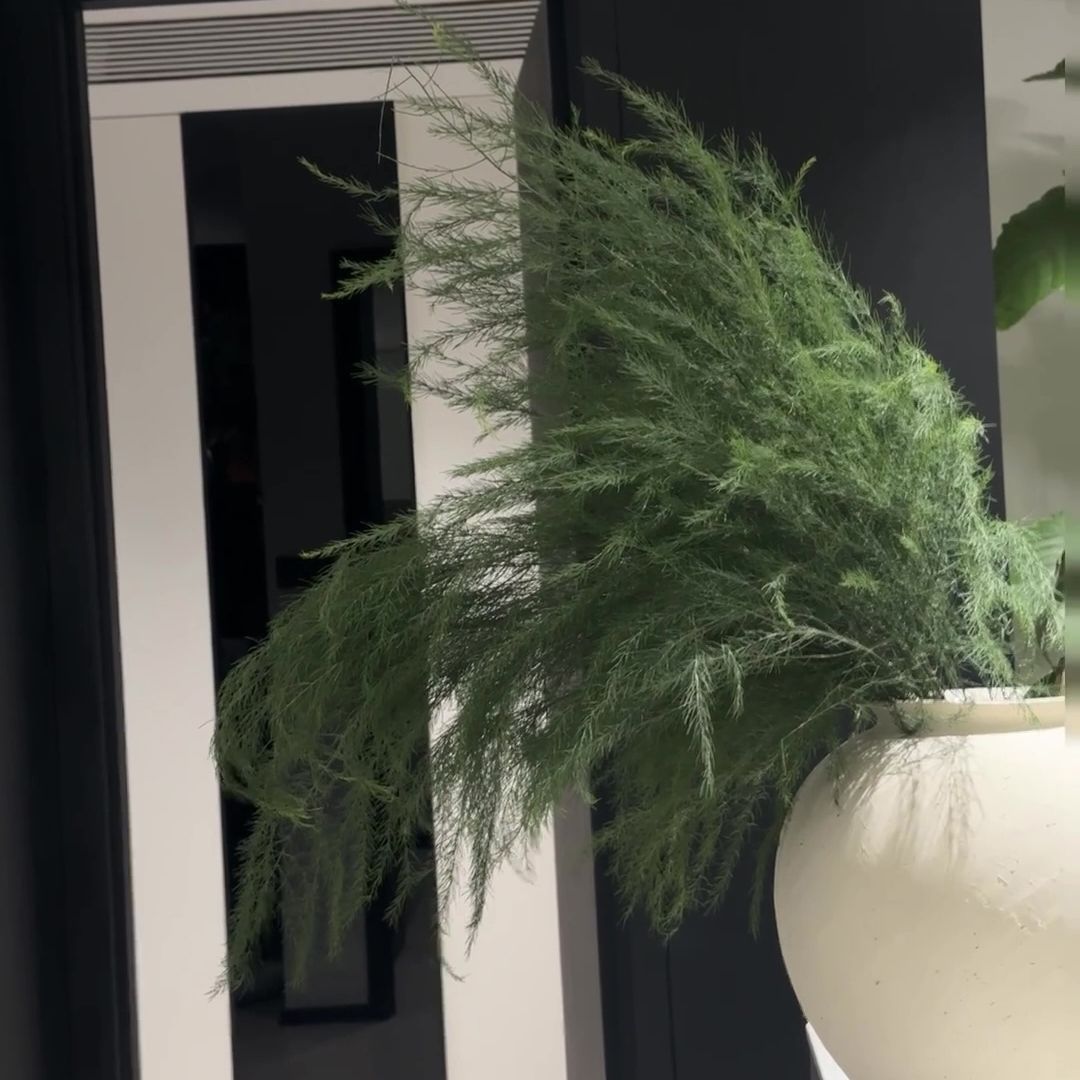 Forest Style Artificial Flowers Artificial Green Plants Alisma Dragon Beard Grass
