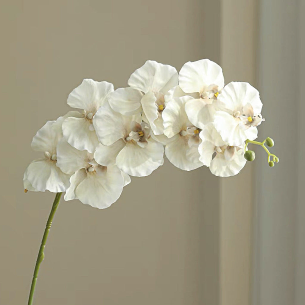 9 European-style Phalaenopsis Orchids 12pcs - 40in