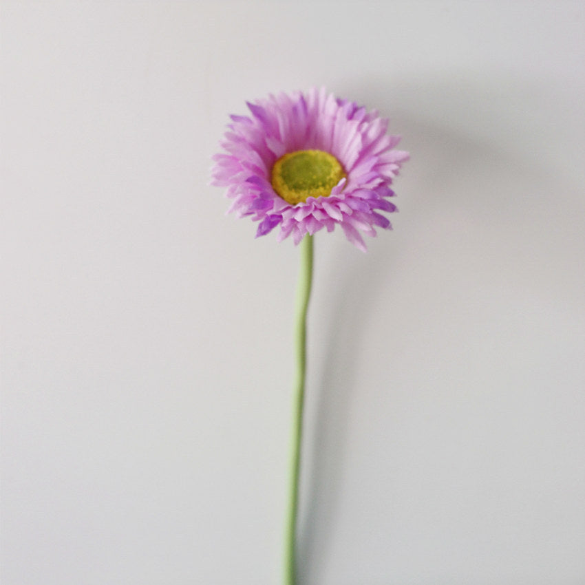 Artificial Flower Small Daisy Single Branch Multi-color Pastoral Flowers