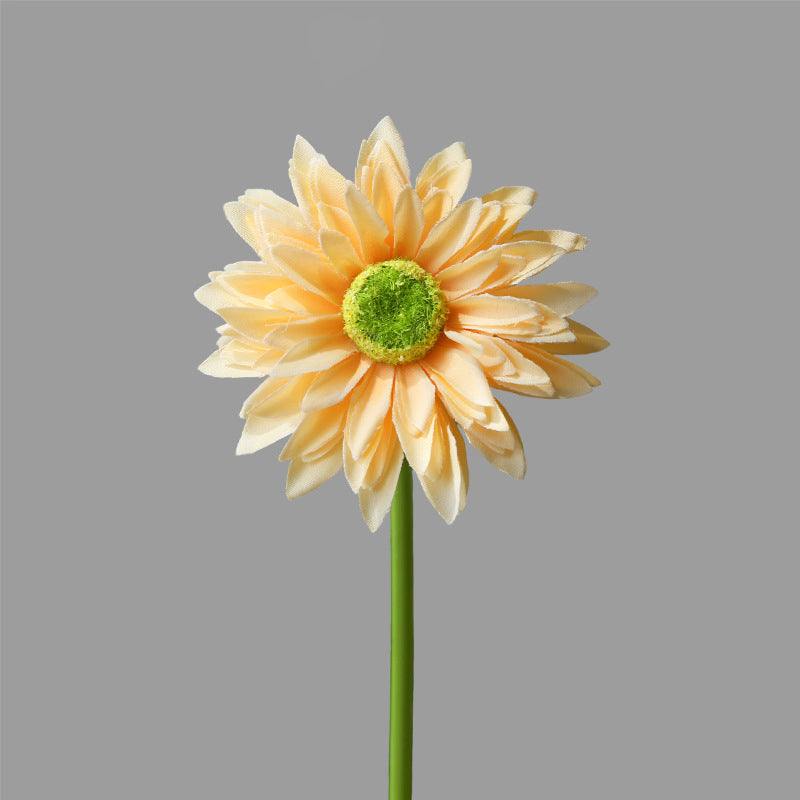 Single Branch Gerbera 12pcs - 16.5in
