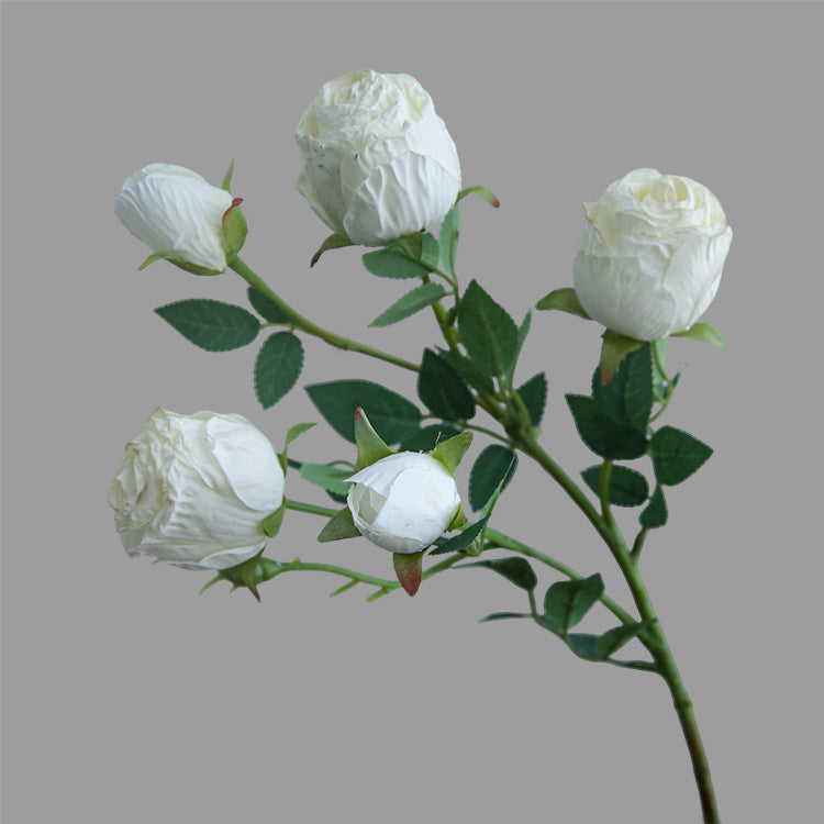 Five-Headed Burnt Edge Rose Vintage Artificial Flower Silk Flower Imitation Dried Flower