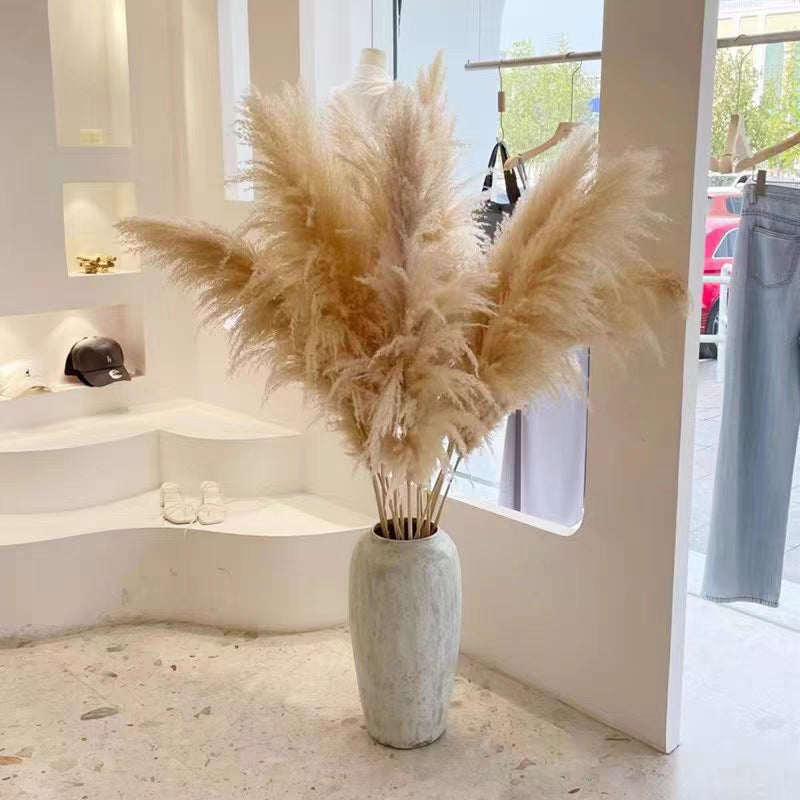 Large Reed Real Flower Dried Flower