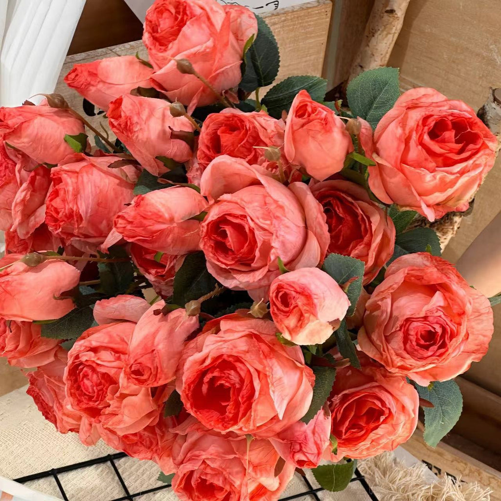 3 Manta Roses