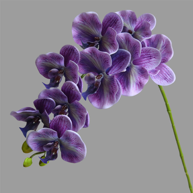 Artificial Flower 9-Head Phalaenopsis  Home Decoration Wedding Scenery Display  3D Printing