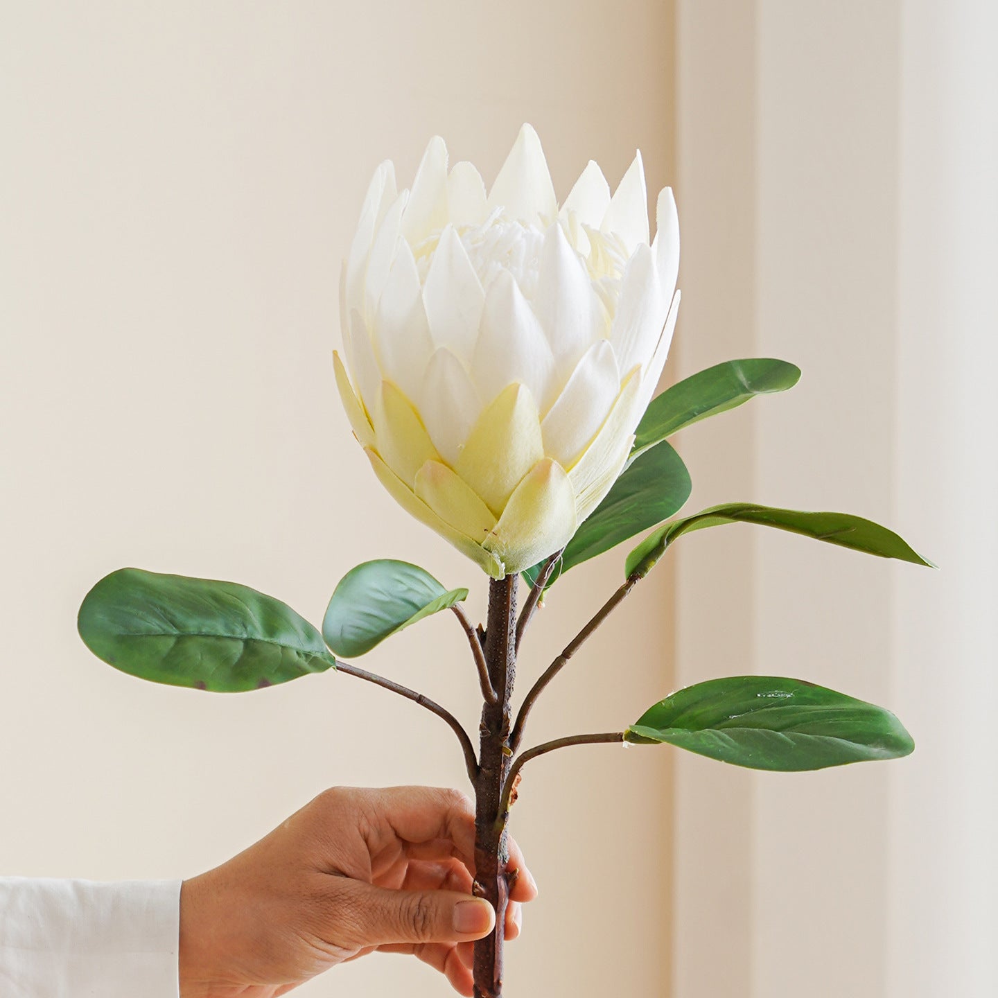Large High-End Imitation Imperial Flower 1 pcs - 24.4"