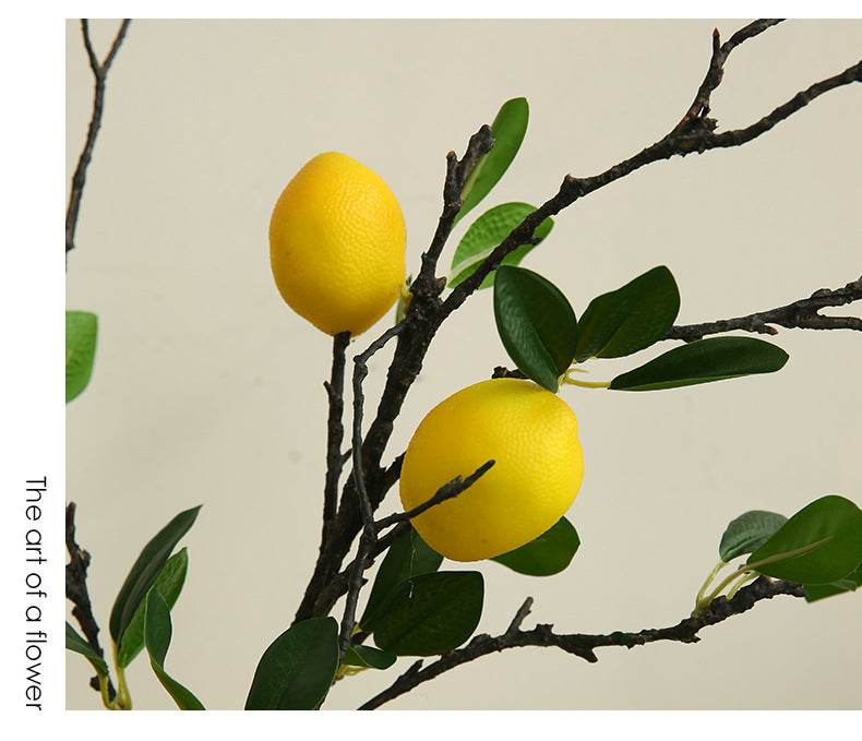Simulated Large Branch Lemon