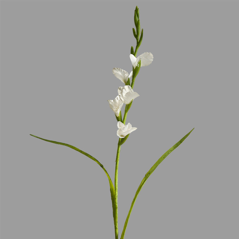 Single Branch Gladiolus 12pcs - 33.9in