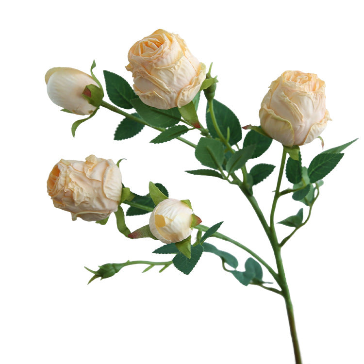 Five-Headed Burnt Edge Rose Vintage Artificial Flower Silk Flower Imitation Dried Flower