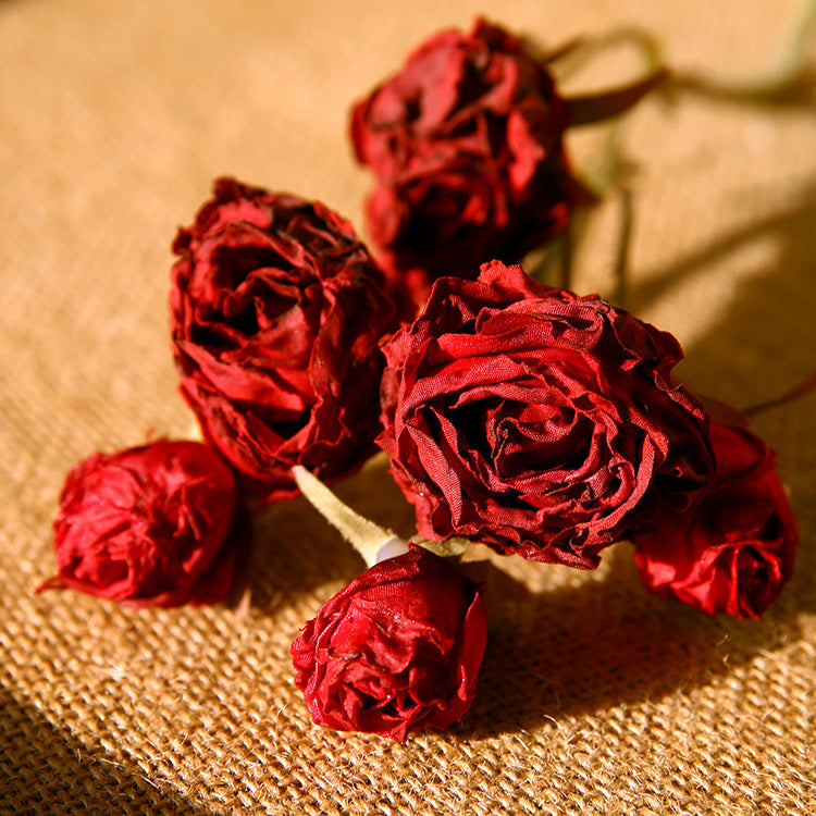 Six-Headed Burnt Edge Small Rose 12pcs - 20.8in